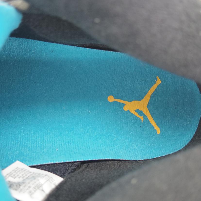 NIKE ナイキ/AIR JORDAN 5 RETRO/DD0587-047//ABランク/75