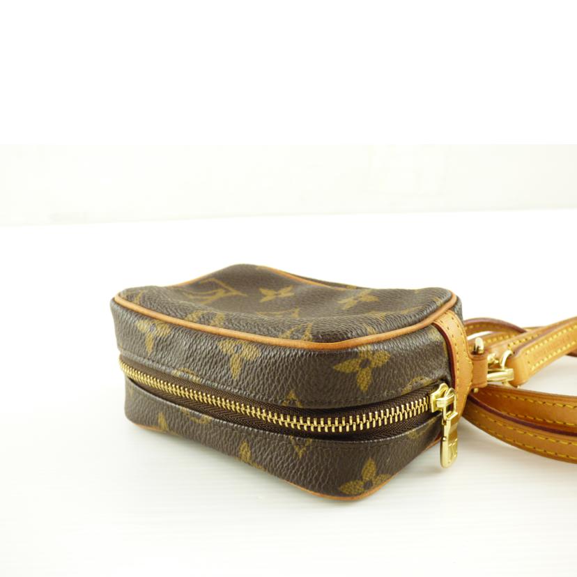 LOUIS VUITTON ルイ・ヴィトン/トゥルース・ワピティ/モノグラム/M58030//FL0045/Aランク/64