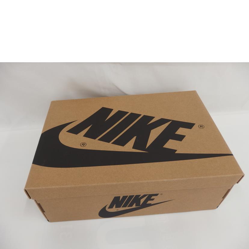 NIKE NIKE/AIR JORDAN 1 Photon Dust/DV1305-005//SAランク/82