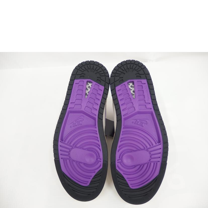 NIKE NIKE/AIR JORDAN 1 Palomino/DV1307-205//SAランク/82