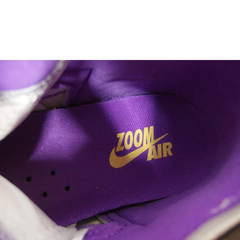 NIKE NIKE/AIR JORDAN 1 Palomino/DV1307-205//SAランク/82