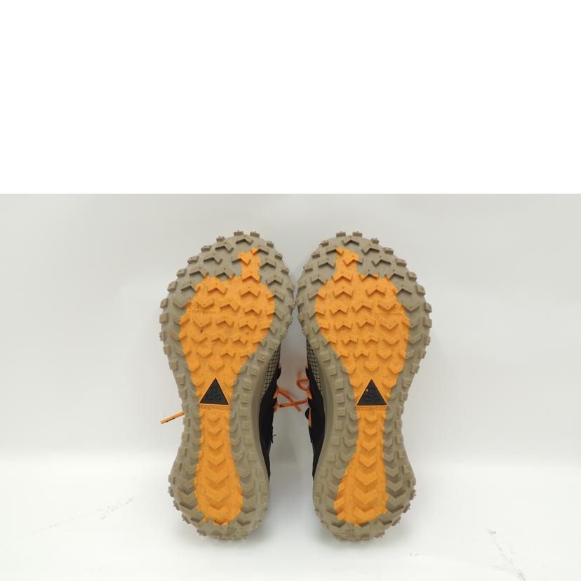 NIKE ナイキ/NIKE ACGマウンテンフライト/DA5424-200//Aランク/69