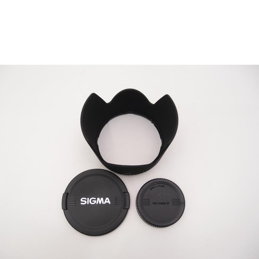 SIGMA シグマ/交換レンズ/APO50-500mm F4-6.3 EX DG HSM//4001275/ABランク/69