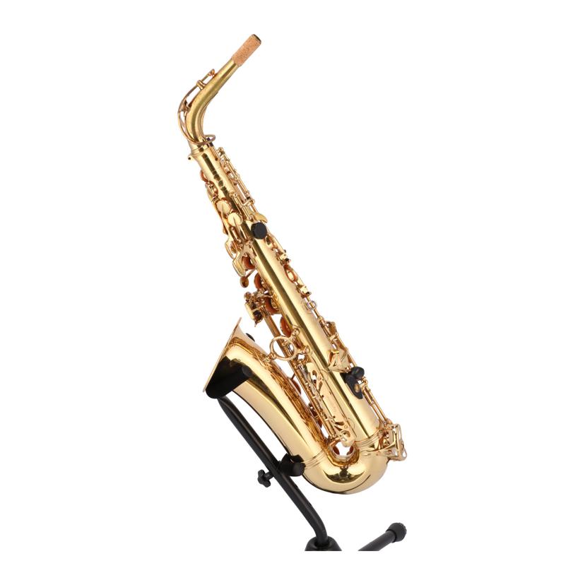 YANAGISAWA ヤナギサワ/アルトサックス/A-900 μ//00194025/Cランク/70