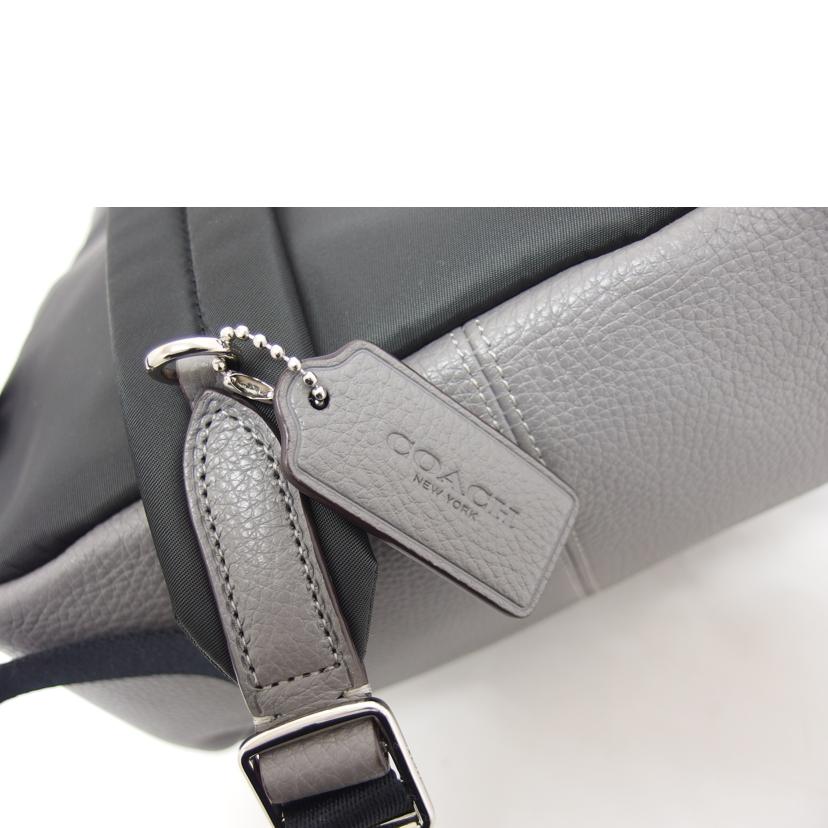 COACH コーチ レザーリュック/チャーリーペブルドレザー/バックパック/グレー/F30550//F19**/Aランク/04