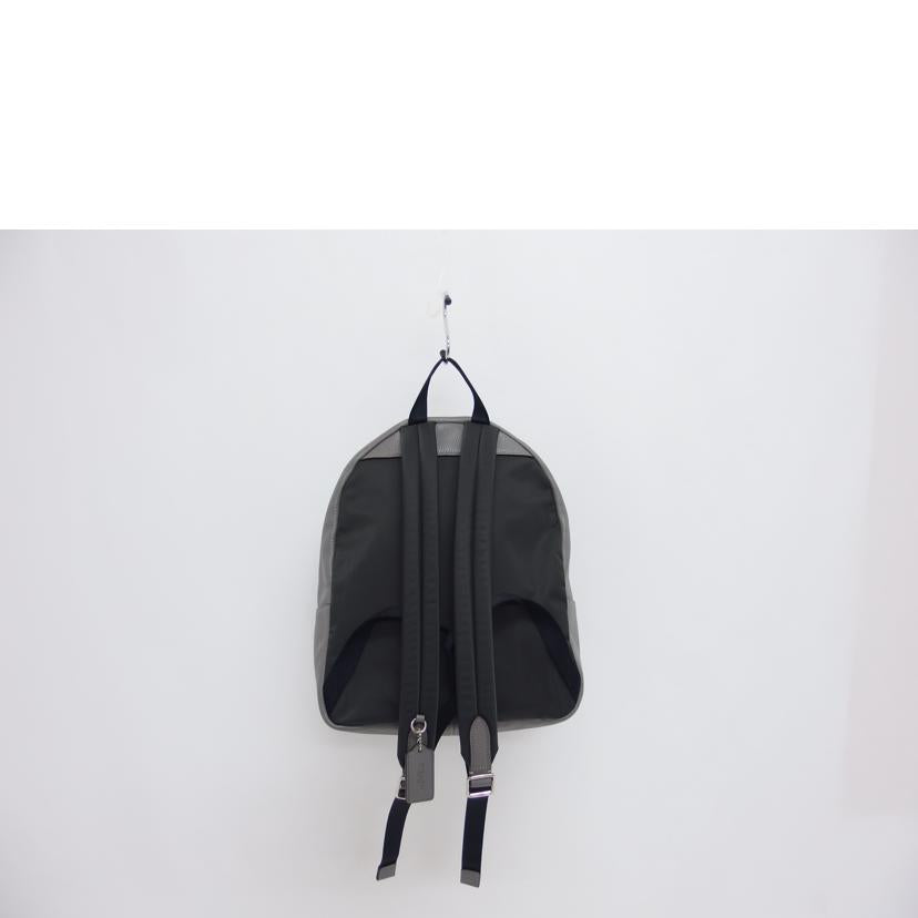 COACH コーチ レザーリュック/チャーリーペブルドレザー/バックパック/グレー/F30550//F19**/Aランク/04