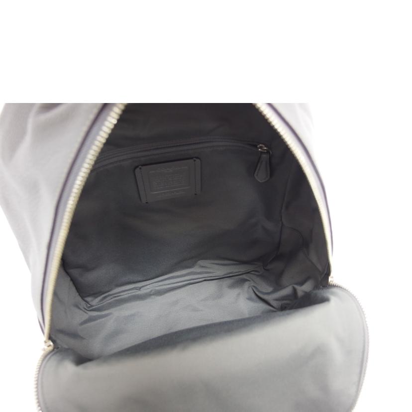 COACH コーチ レザーリュック/チャーリーペブルドレザー/バックパック/グレー/F30550//F19**/Aランク/04