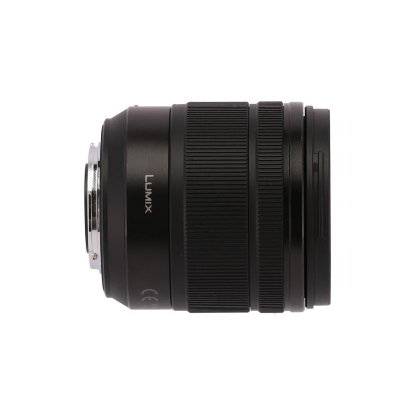 Panasonic パナソニック/交換レンズ/12-60mm/H-FS12060//XB8GL102768/Aランク/82