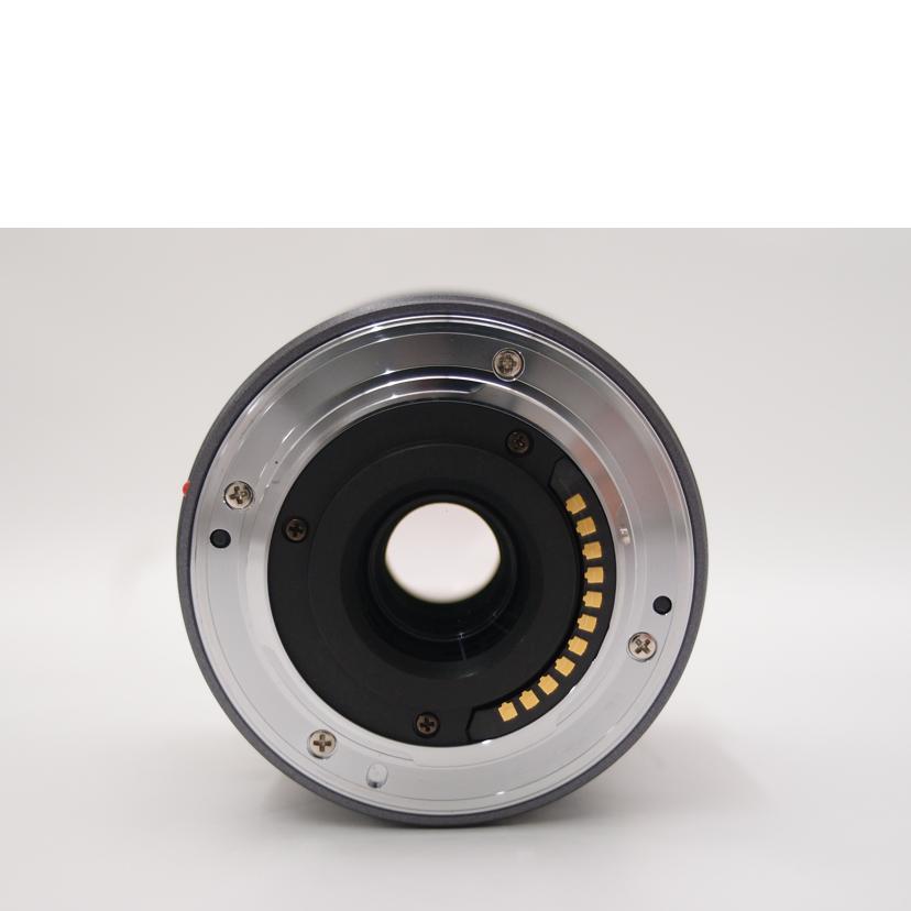 Panasonic パナソニック/ミラーレス用交換レンズ/LUMIX G VARIO 7-14mm/F4.0 ASPH. H-F007014//BR7DH101701/Aランク/69