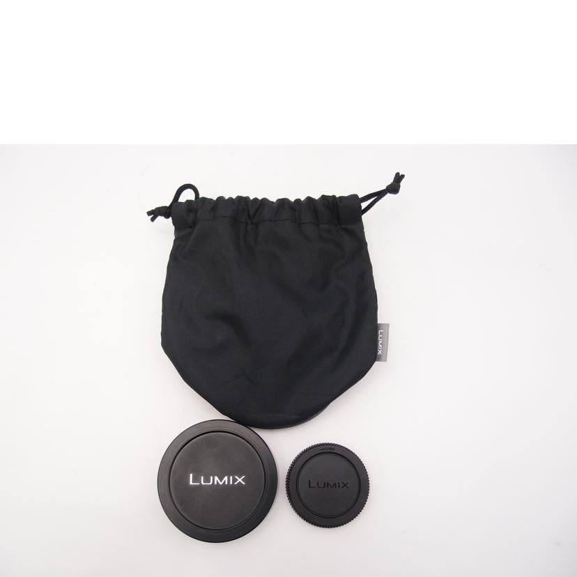 Panasonic パナソニック/ミラーレス用交換レンズ/LUMIX G VARIO 7-14mm/F4.0 ASPH. H-F007014//BR7DH101701/Aランク/69