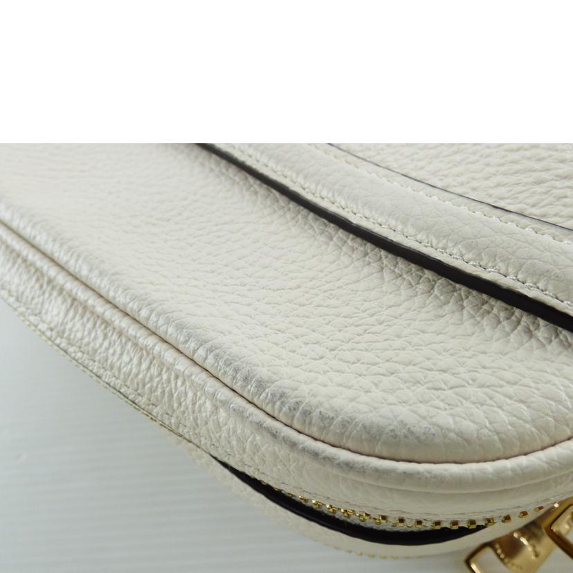 COACH コーチ/2wayショルダーバッグ/75818//G2197/Aランク/64