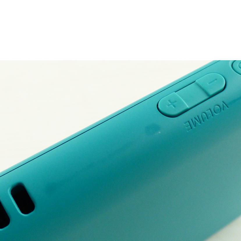 Nintendo ニンテンドー/NINTENDI SWITCH Lite/HDH-001//XJJ70010940504/ABランク/64