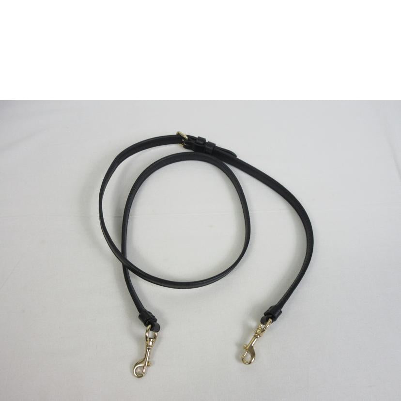 COACH コーチ/ミニアベニュー キャリーオール/73277//G2179/Aランク/70