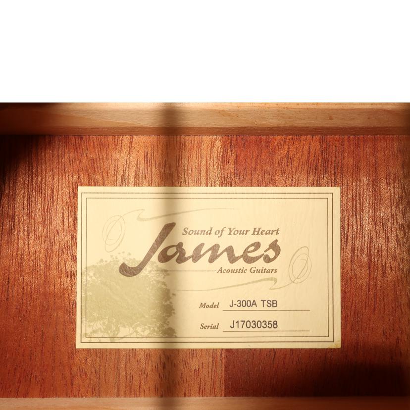 James ジェームス/アコースティックギター/J-300A TSB//J17030358/ABランク/65