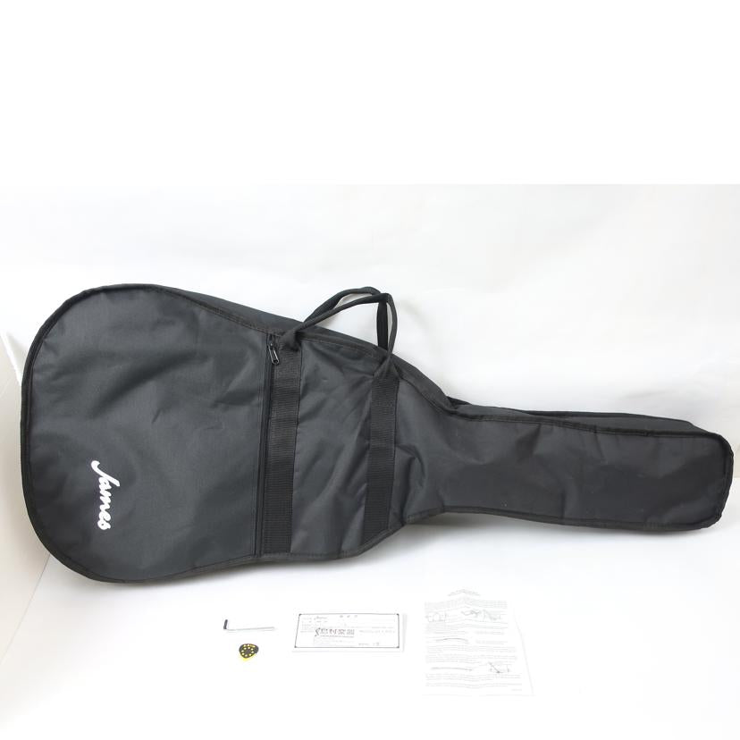 James ジェームス/アコースティックギター/J-300A TSB//J17030358/ABランク/65