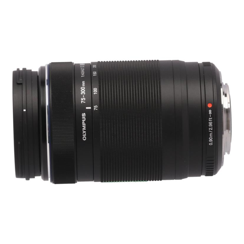 OLYMPUS オリンパス/交換レンズ/75-350mm/ED 75-300mm F4.8-6.7 II//343210254/Bランク/05