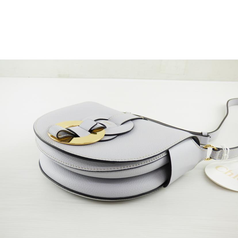 Chloe クロエ/ダリル ショルダーバッグ/CHC21SS344C614E7//01215765-1 /SAランク/64