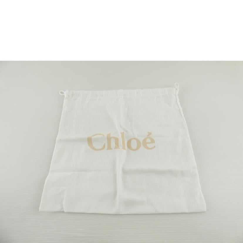 Chloe クロエ/ダリル ショルダーバッグ/CHC21SS344C614E7//01215765-1 /SAランク/64