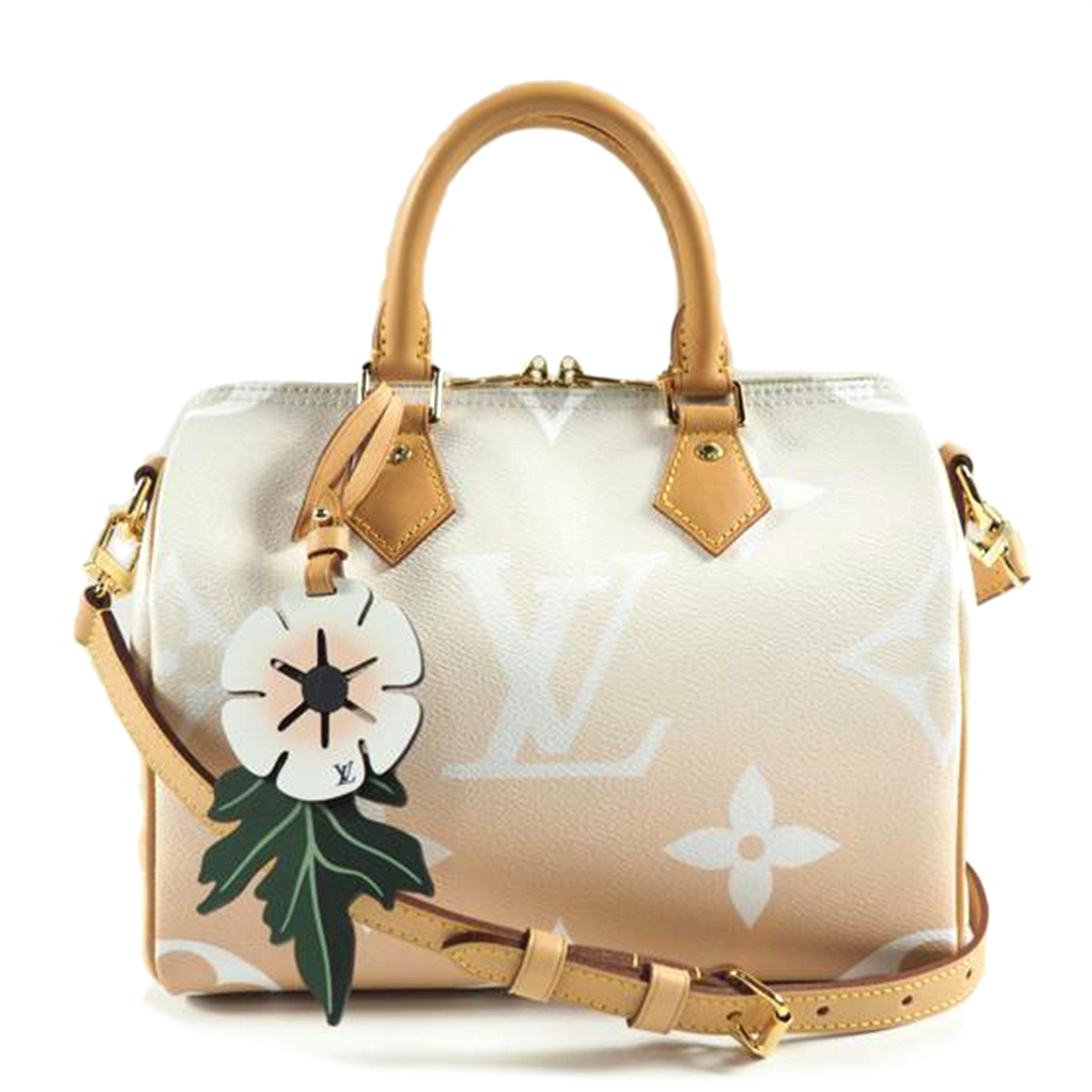 LOUIS VUITTON ルイヴィトン/スピーディ・バンドリエール25/モノグラム ジャイアント/ブリューム/M45722//MB0281/Aランク/79