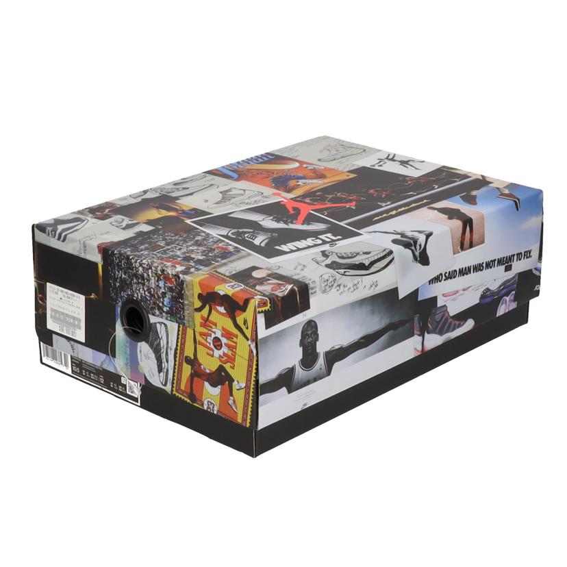 NIKE ナイキ/エアジョーダン6レトロ/ハイカットスニーカー/CT8529-012//ABランク/75