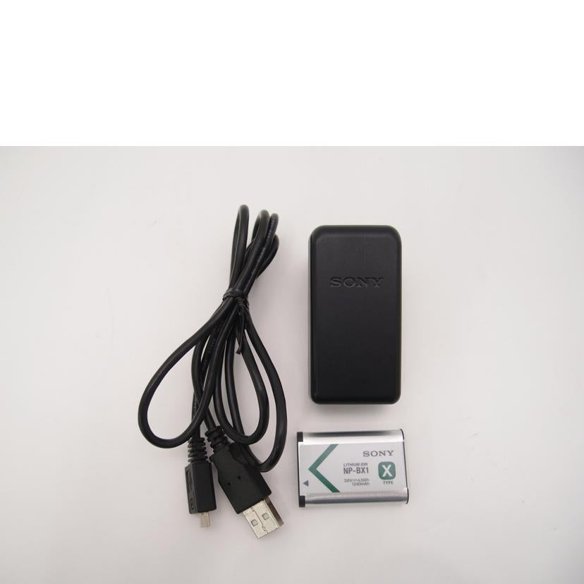 SONY ソニー/デジタルカメラ/DSC-RX100//3026251/ABランク/69