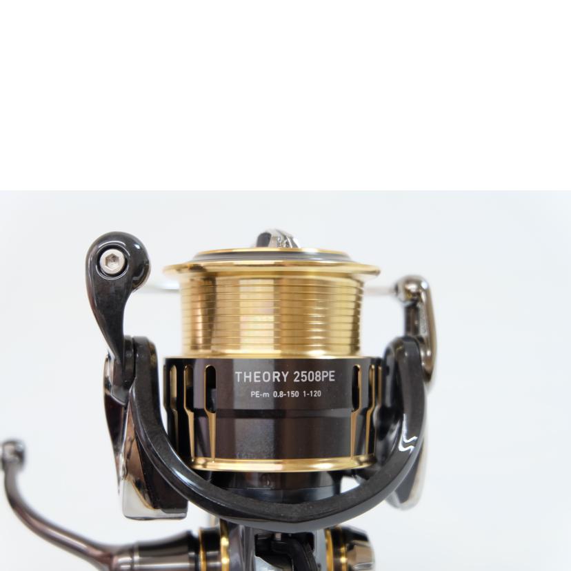 DAIWA ダイワ/17セオリー 2508PE/056006//Bランク/71