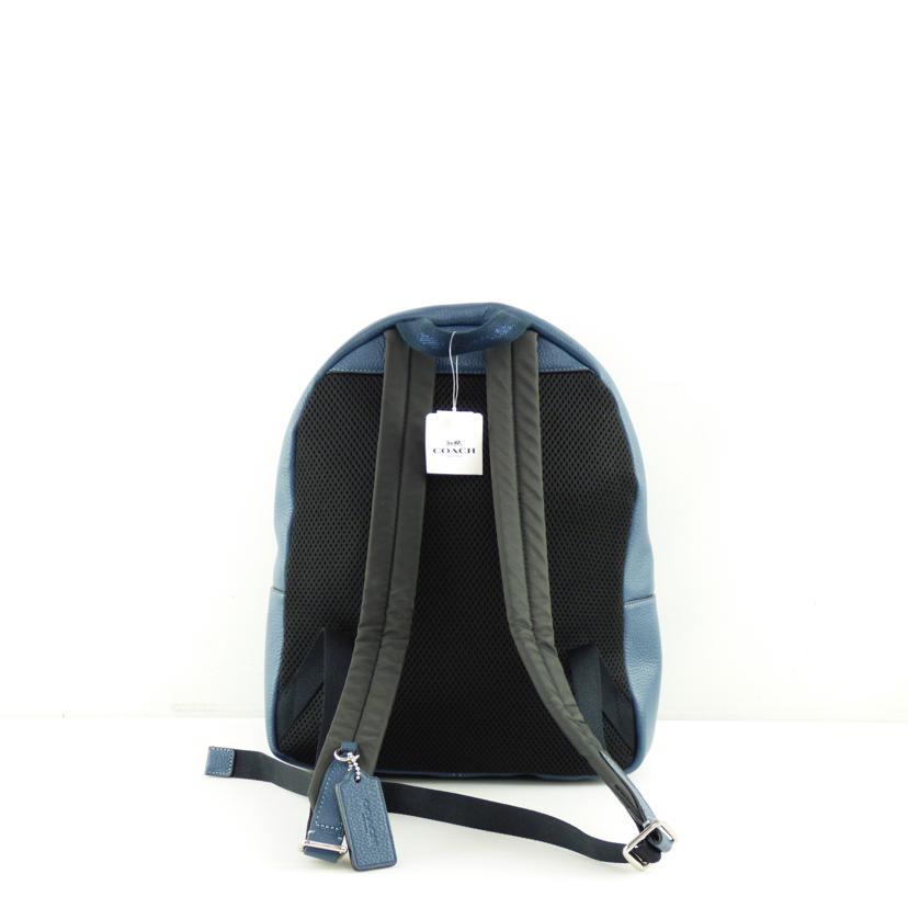 COACH コーチ/レインボーホースアンドキャリッジ バックパック/F76772//F1921/Aランク/64