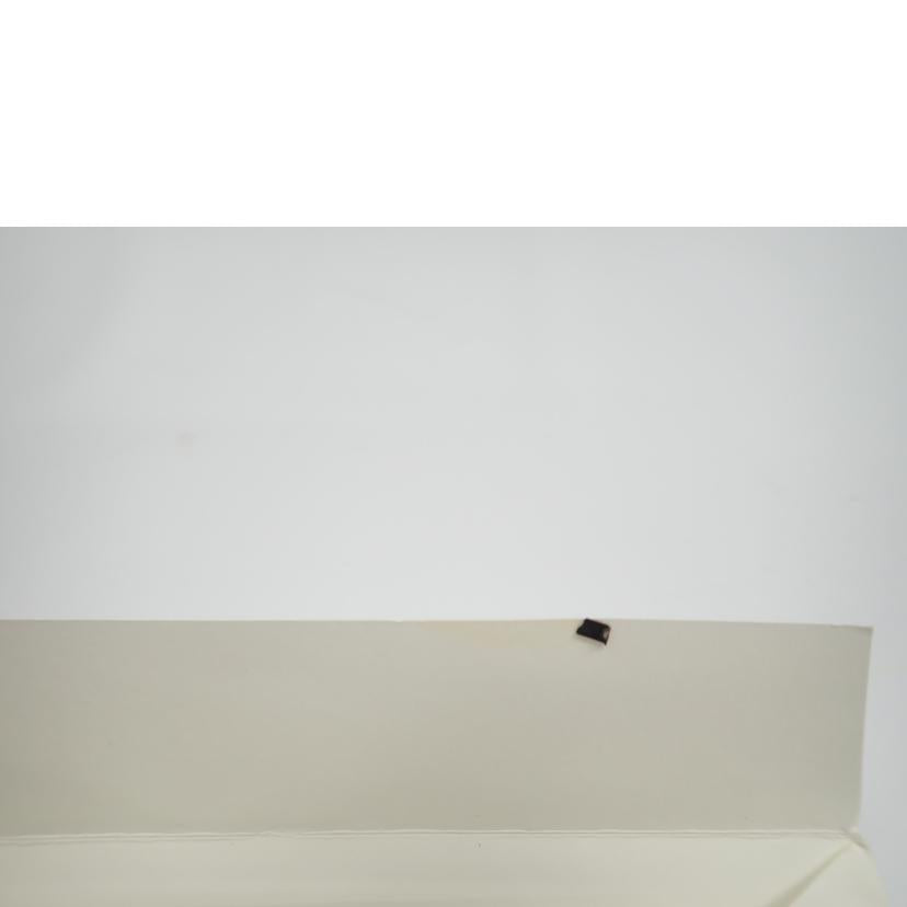 CELINE セリーヌ/CELINE ラゲージ・マイクロショッパー//Bランク/62