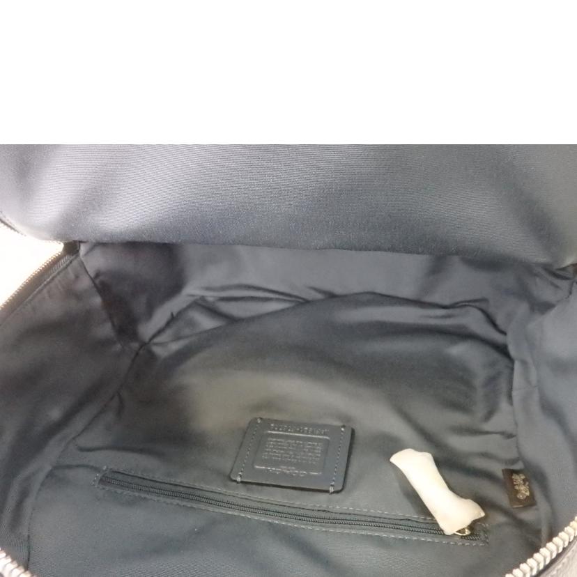 COACH コーチ/レインボーホースアンドキャリッジ/バックパック/F76772//F19**/SAランク/84