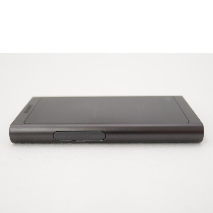 SONY ソニー/ウォークマン/NW-A56HN//5171357/Aランク/69
