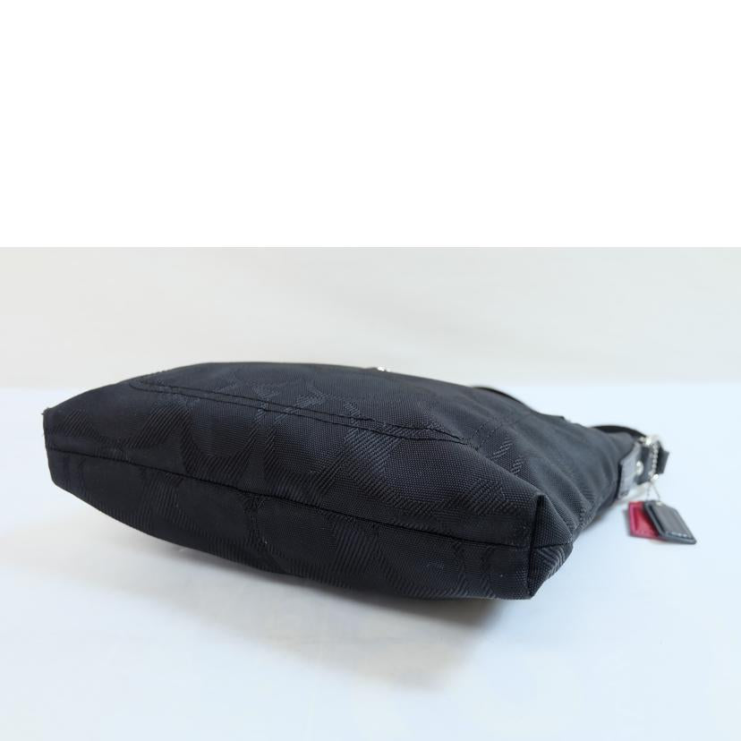 COACH コーチ/デイジーシグネチャークロスボディ/F14872//A1093/ABランク/71