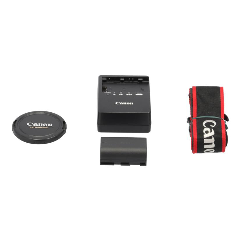 CANON キャノン/デジタル一眼レフカメラ/EOS80D//341024001435/Aランク/09