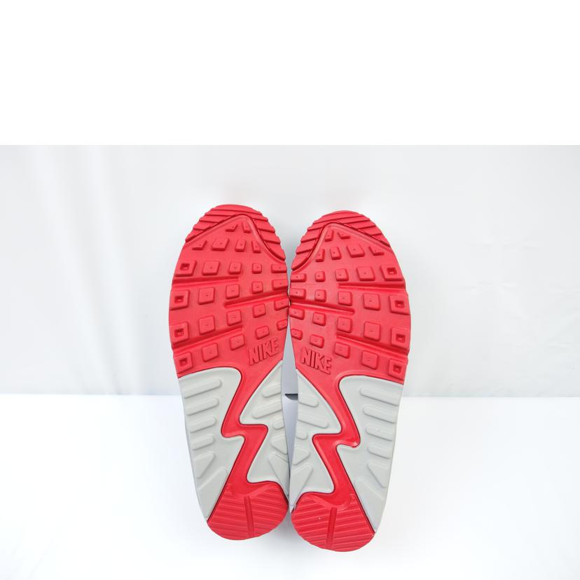 NIKE/NIKE AIRMAX90 フォントダスト /D08902-001//SAランク/83