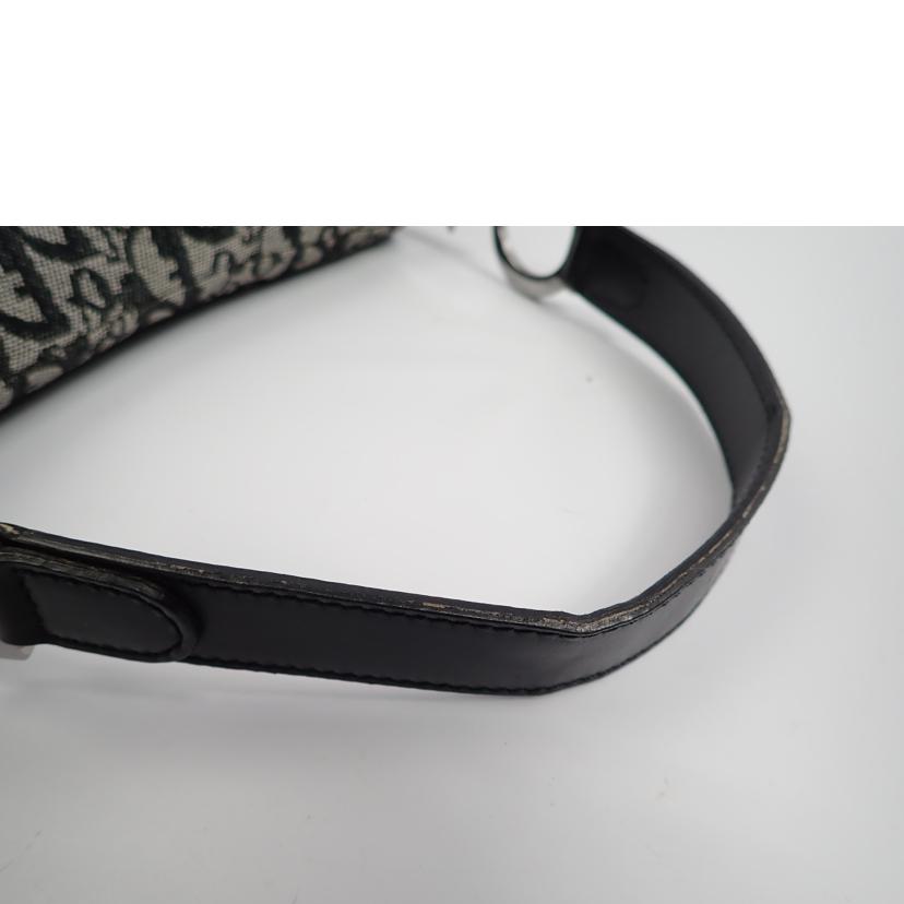 DIOR/サドルバッグ キャンバス//RU0092/Bランク/62