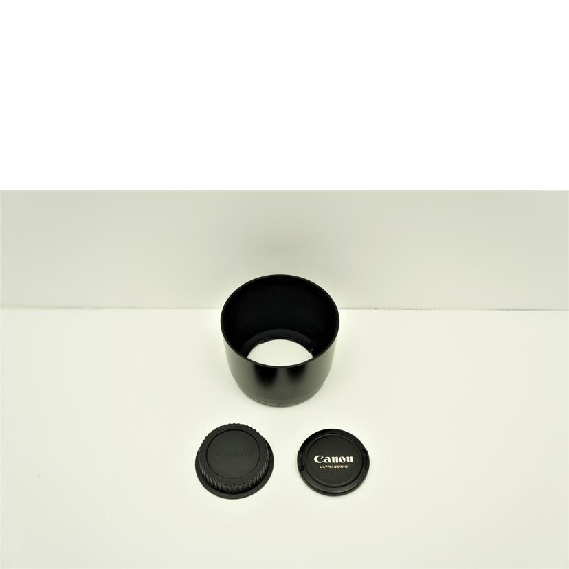 Canon/交換レンズ/EF70-300mm DO IS /EF70-300mm DO IS //11501234/Bランク/75