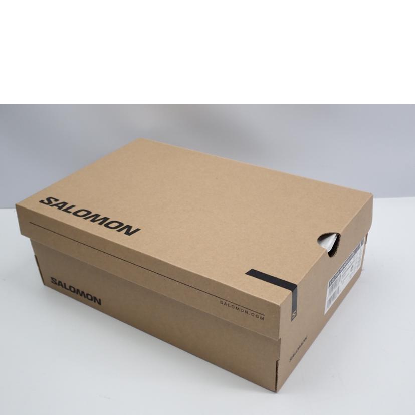 SALOMON サロモン/SALOMON　X　ULTRA360　EDGE　GTX/478168//27.5cm/Sランク/62