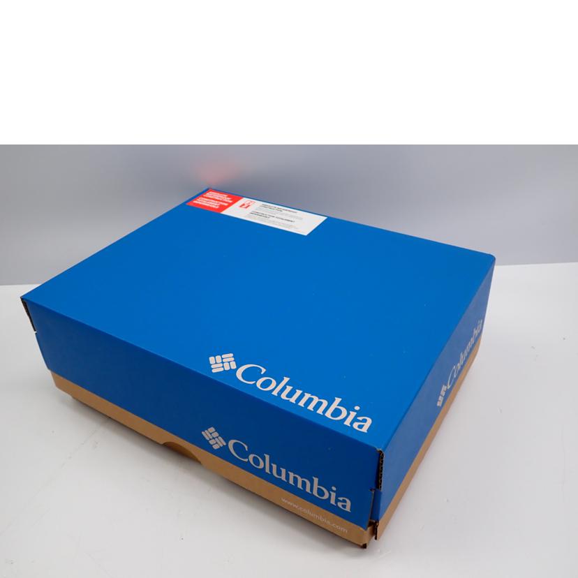 Columbia コロンビア/Columbia　STEENS　PEAK　Ⅱ　OUTDRY/YM8575-231//27.0cm/Sランク/62