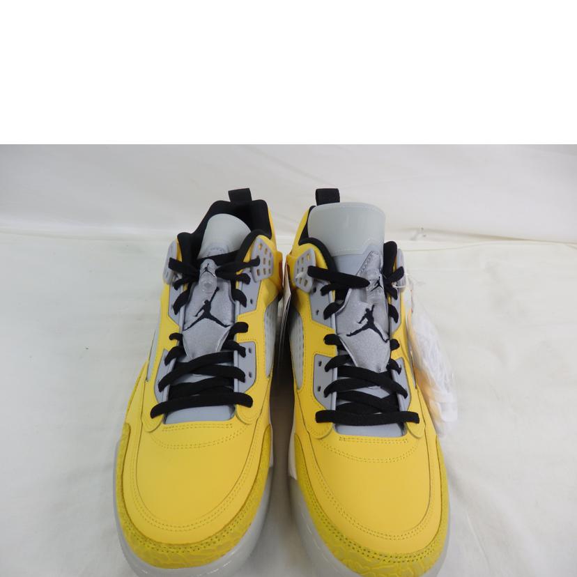 NIKE ナイキ/JORDAN　SPIZIKE　LOW　PRM／31．0cm/HF4319-741//Sランク/84