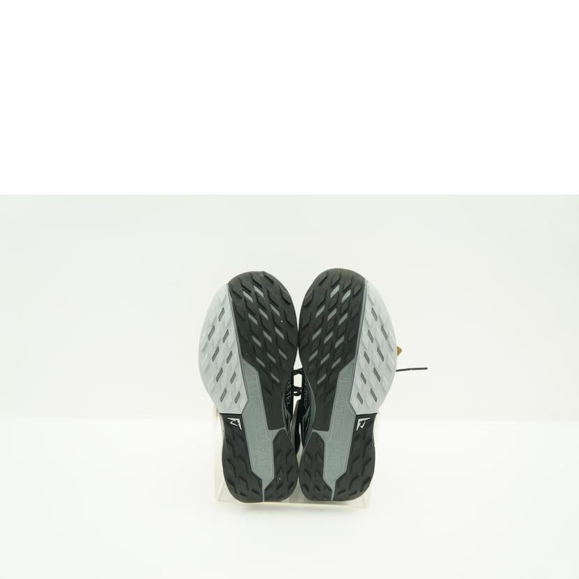NIKE ナイキ/W　PEGASUS　TRAIL　5GTX/FQ0912-001//Sランク/75