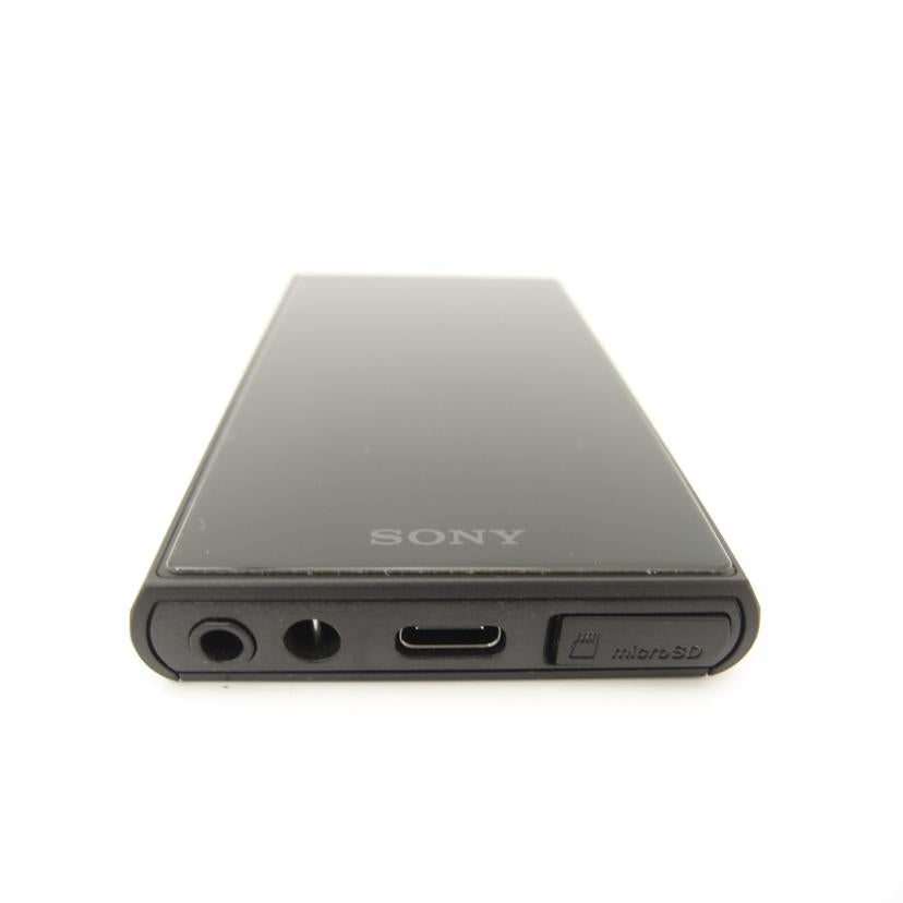 SONY ソニー/ウォークマン/NW-A307//1007484/Aランク/69
