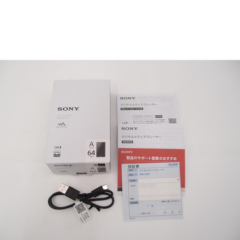 SONY ソニー/ウォークマン/NW-A307//1007484/Aランク/69