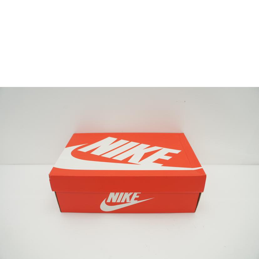 NIKE ﾅｲｷ/TERMINATOR　HIGH　/FN6836-100//28.0cm/Sランク/62
