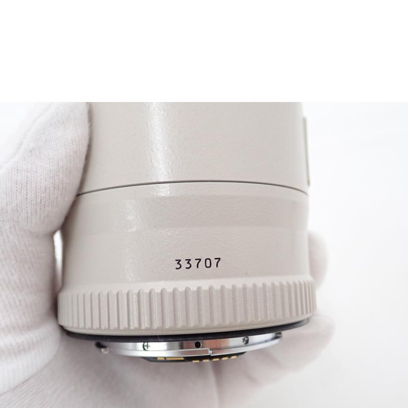 Canon キャノン/エクステンダー/EXTENDER EF2X II//33707/Aランク/69