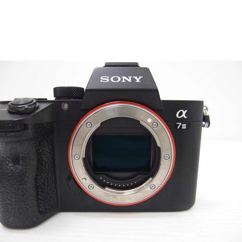 SONY SONY/α7IIIミラーレスボディ／ILCE－7M3/ILCE-7M3//3108738/ABランク/88