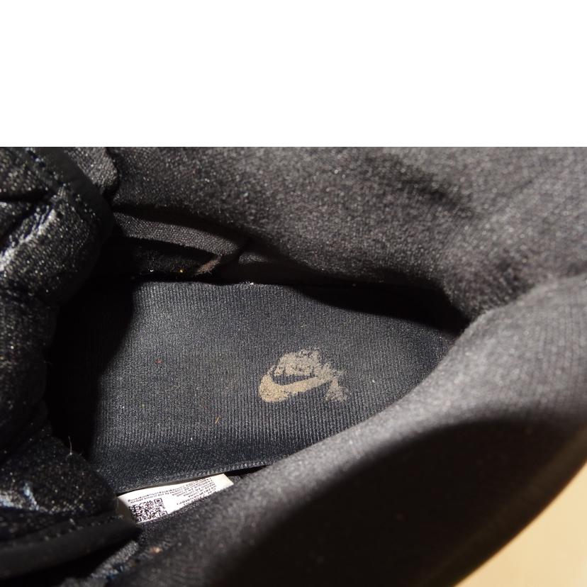 NIKE ﾅｲｷ/Air　Jordan　1　Retro　High　OG　Palomino/DZ5485-020//Bランク/82