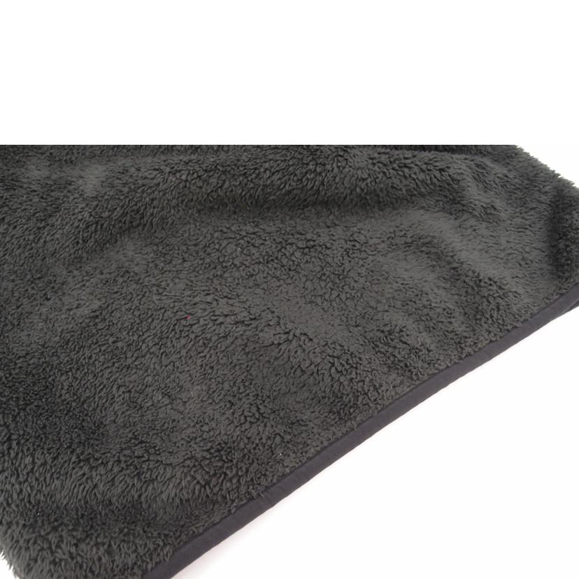 Patagonia ﾊﾟﾀｺﾞﾆｱ/Patagoniaフリース/25895FA20//Aランク/69