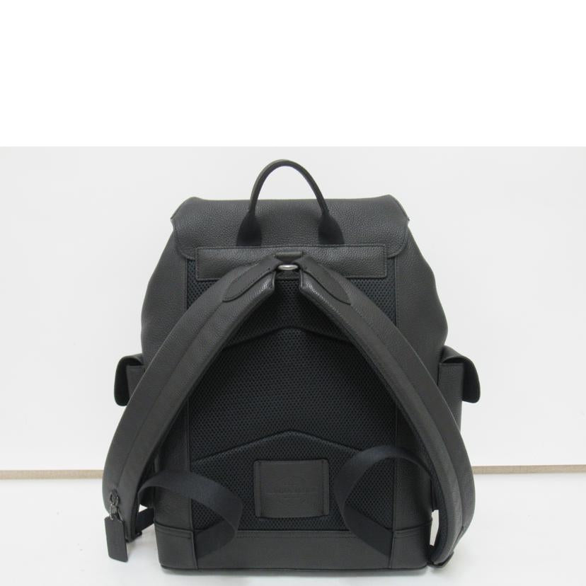 　　COACH/リュックサック／レザー/89896//L21**/Aランク/63