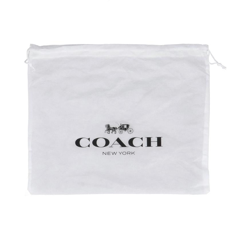 COACH コーチ/エクスプローテッドスモールサッチェル/F57244//J17**/Aランク/78