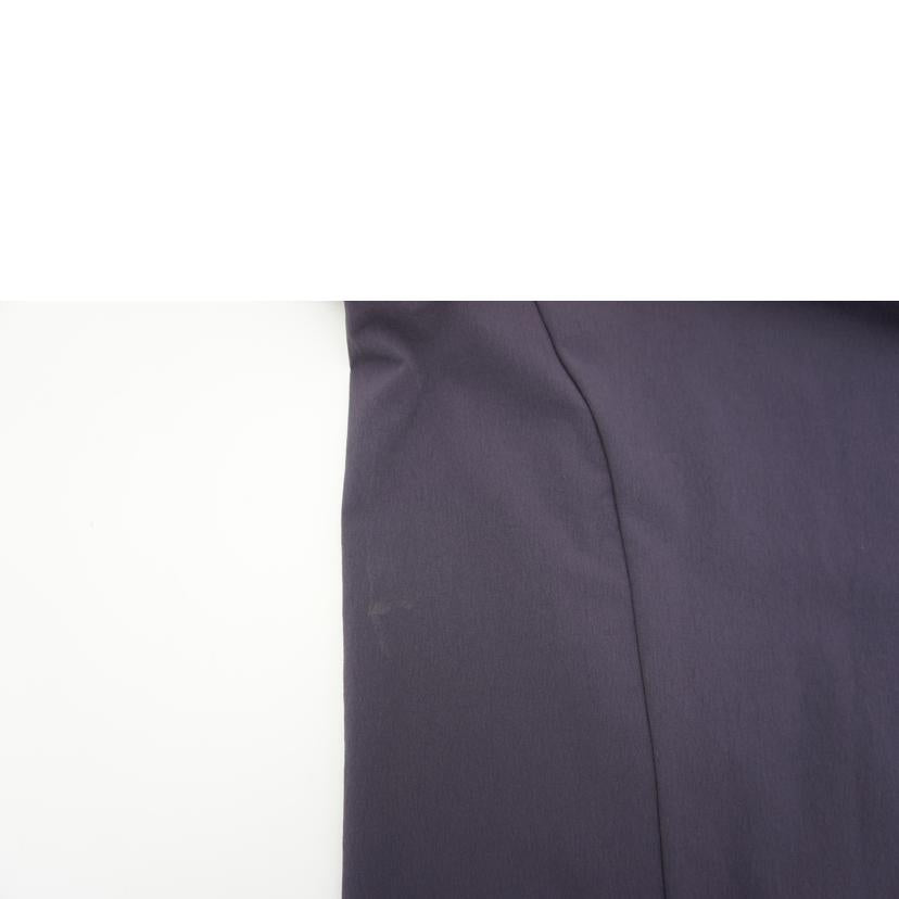 THE NORTH FACE ノースフェイス/Flexible Hoodie/エンドレスダスクMサイズ/NP22581//SAランク/06