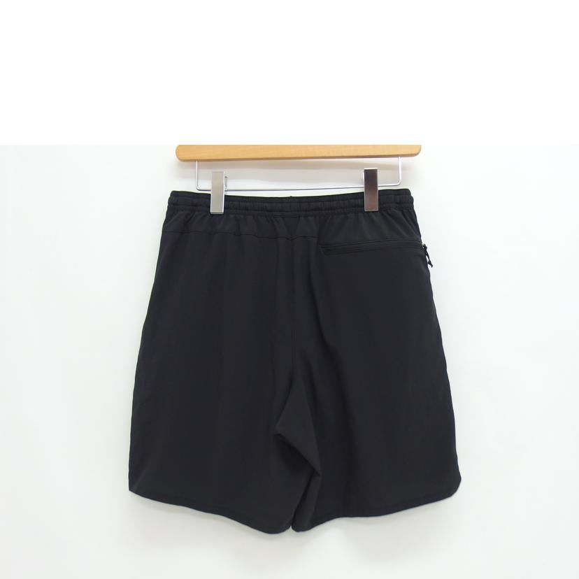 patagonia/メンズボトムス/57601SP22//Bランク/04